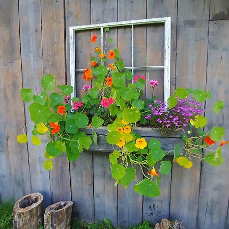 Spacious Country Retreat Close To Town And Nature, Sylvana Farm Vt Montpelier Esterno foto