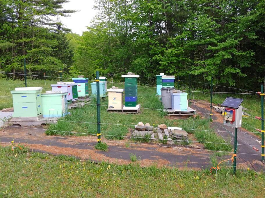 Spacious Country Retreat Close To Town And Nature, Sylvana Farm Vt Montpelier Esterno foto