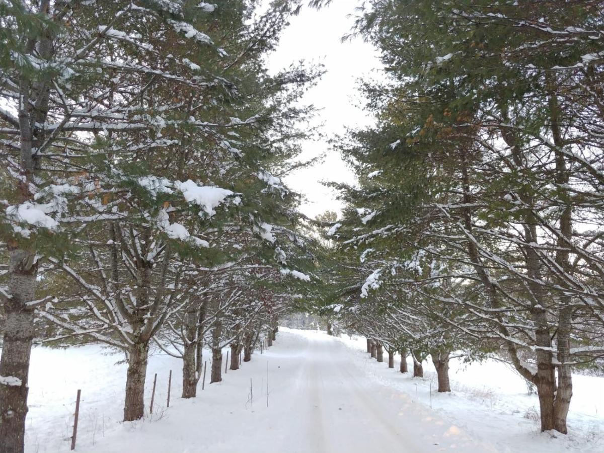Spacious Country Retreat Close To Town And Nature, Sylvana Farm Vt Montpelier Esterno foto