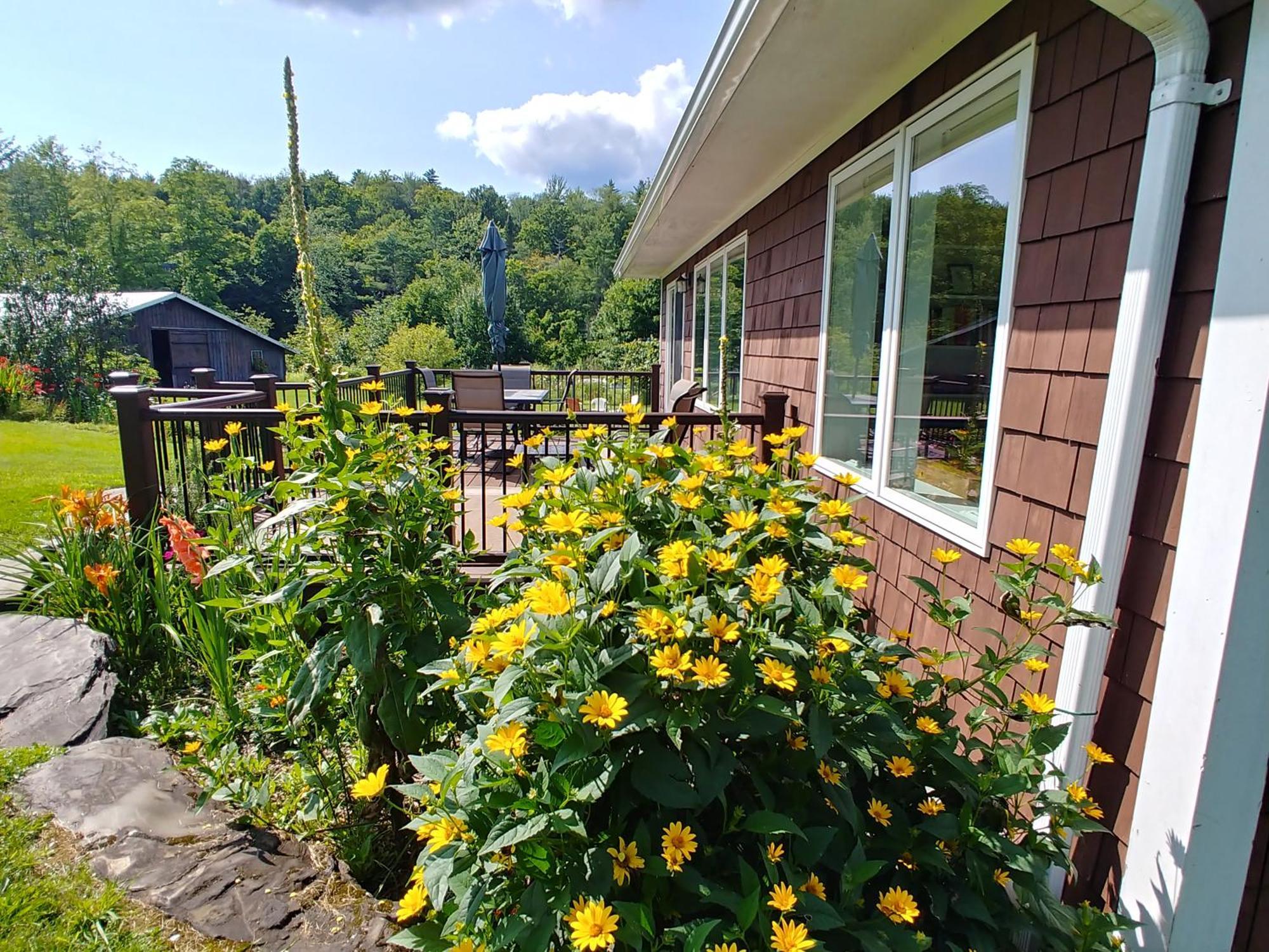Spacious Country Retreat Close To Town And Nature, Sylvana Farm Vt Montpelier Esterno foto