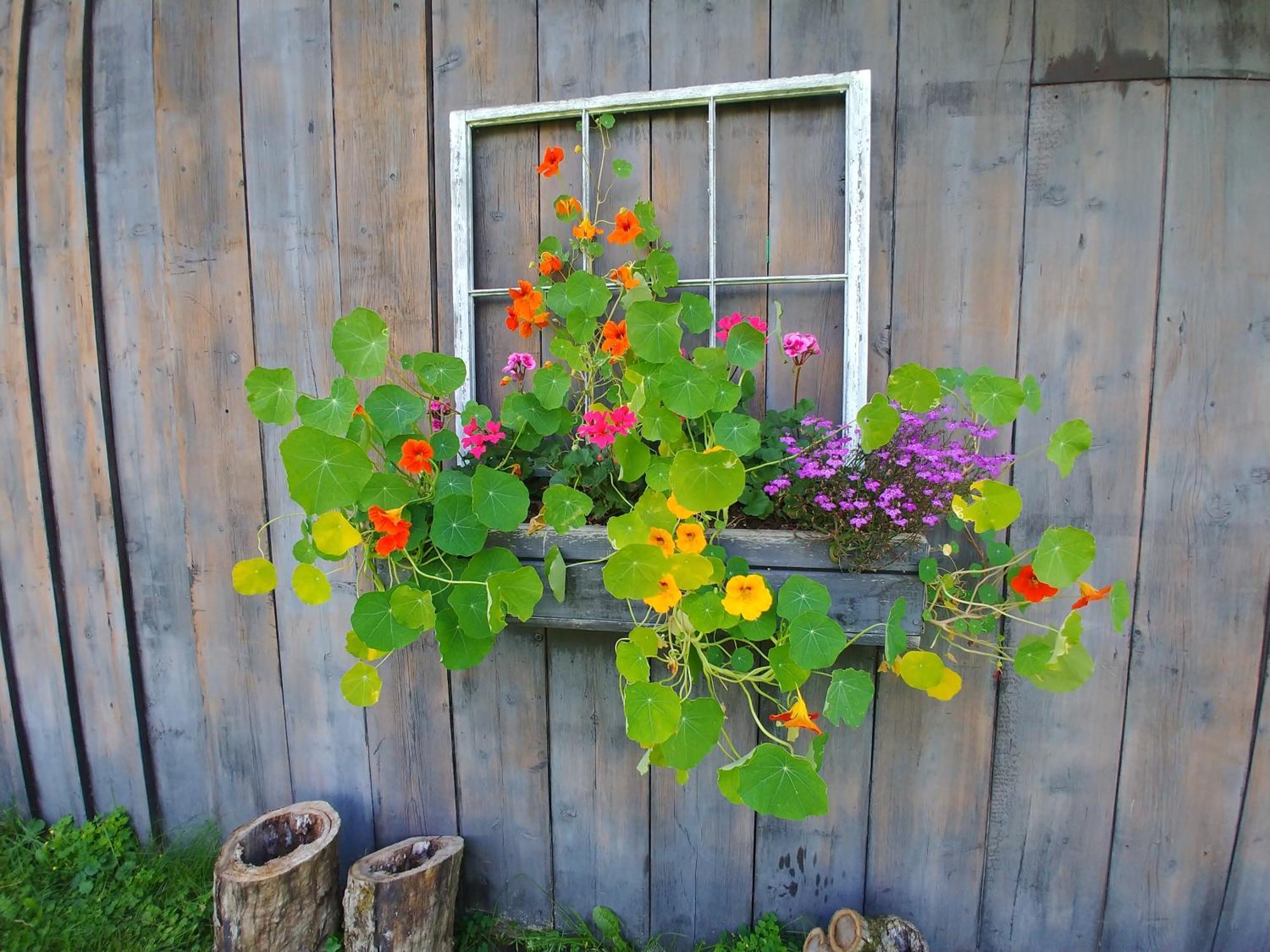 Spacious Country Retreat Close To Town And Nature, Sylvana Farm Vt Montpelier Esterno foto